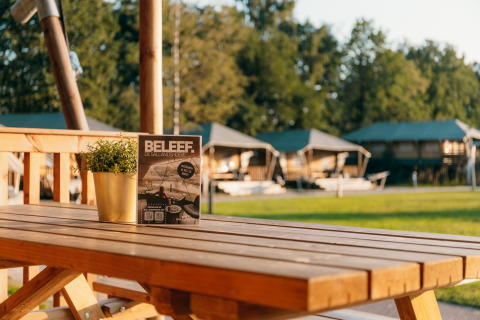 Safari cottage bij Holiday Park Sallandshoeve in Nederland met houten picknicktafel, folder en plant.