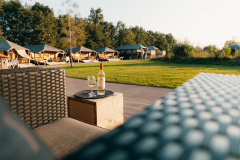 Safari Cottage telt ved Sallandshoeve Holiday Park i Holland, vin og stol på terrassen med udsigt.