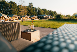 Tente Safari Cottage au Holiday Park Sallandshoeve, Pays-Bas, vin sur la terrasse face à la nature.