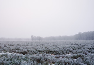 Winterlandschaft im Ferienpark The Kremmer in Drenthe, Niederlande, mit Raureif und Nebel über Feldern.