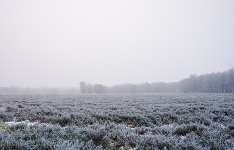 Winterlandschaft im Ferienpark The Kremmer in Drenthe, Niederlande, mit Raureif und Nebel über Feldern.