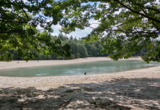 Ein ruhiger See mit Sandstrand und Bäumen im Ferienpark The Kremmer, Drenthe, Niederlande.
