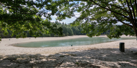 Ein ruhiger See mit Sandstrand und Bäumen im Ferienpark The Kremmer, Drenthe, Niederlande.