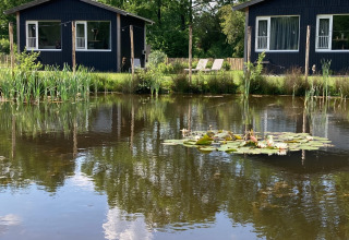 Zwei schwarze Ferienhäuser am ruhigen Teich mit Seerosen und Bäumen im Ferienpark The Kremmer, Drenthe.