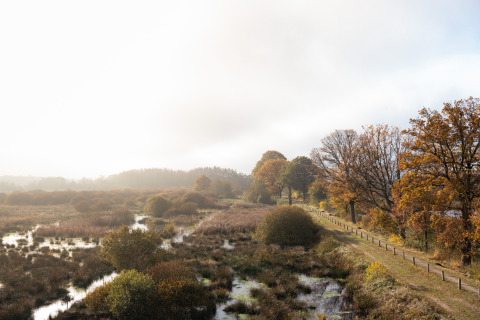 Blick auf Feuchtgebiete und herbstliche Bäume im Ferienpark De Kremmer in Drenthe, Niederlande.