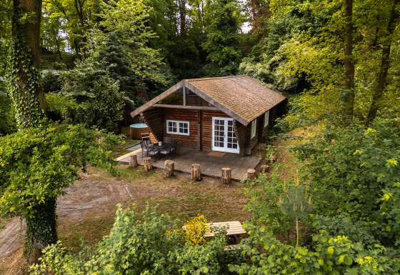 Charming wooden lodge named 'Huys van de Boswachter' with hot tub, nestled in a lush green forest.