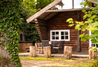 Lodge 'Huys van de Boswachter' with hot tub at Sandberghe in the Netherlands, surrounded by greenery.