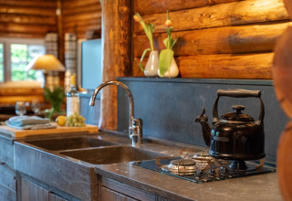 Cocina en Huys van de Boswachter con tetera, cocina de gas, fregadero y jarrones con tulipanes.