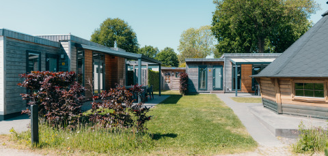 Buitenaanzicht van Veluwe Villa met sauna bij vakantiepark De Boshoek in Nederland, moderne lodges en grasveld.