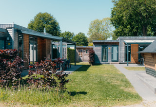 Buitenaanzicht van Veluwe Villa en sauna bij vakantiepark De Boshoek, Nederland, moderne chalets en gazon.