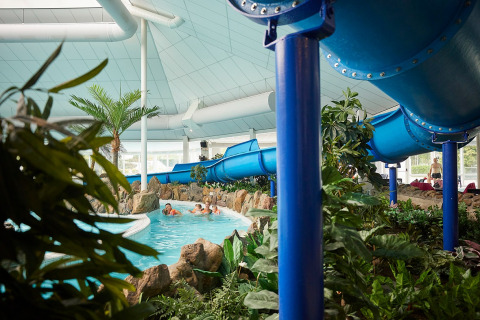 Innenwasserpark mit blauer Rutsche und tropischen Pflanzen im Ferienpark De Leistert in Limburg, Niederlande.