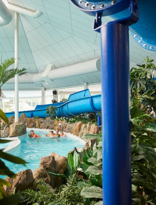 Overdekt zwembad met blauwe glijbaan en tropische planten in vakantiedomein De Leistert in Limburg, Nederland.