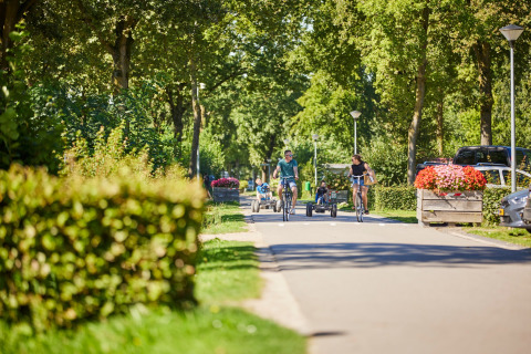 Holiday guests ride bicycles and pedal go-karts on a sunny, green lane at De Leistert park, Limburg, Netherlands.