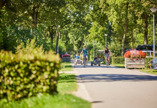 Holiday guests ride bicycles and pedal go-karts on a sunny, green lane at De Leistert park, Limburg, Netherlands.