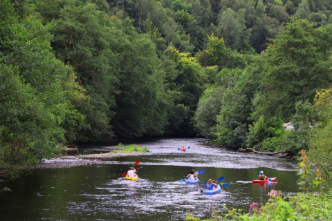 People kayaking along a scenic river surrounded by lush trees at a holiday park offering glamping stays.