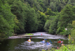People kayaking along a scenic river surrounded by lush trees at a holiday park offering glamping stays.