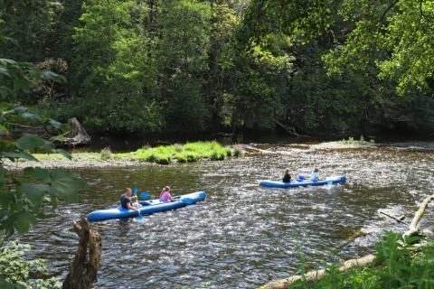Mensen varen met blauwe kajaks op een rivier bij een glamping vakantiepark in een bosrijke omgeving.