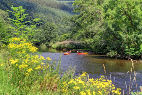 Two people paddle kayaks on a calm river surrounded by lush trees and yellow wildflowers at a holiday park.