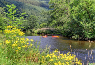 Due persone in kayak su un fiume tranquillo circondato da alberi verdi e fiori gialli in un villaggio vacanze.