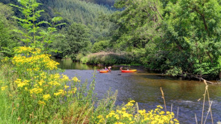 Zwei Personen paddeln in Kanus auf einem ruhigen Fluss, umgeben von Bäumen und Wildblumen im Ferienpark.