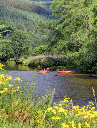 Zwei Personen paddeln in Kanus auf einem ruhigen Fluss, umgeben von Bäumen und Wildblumen im Ferienpark.