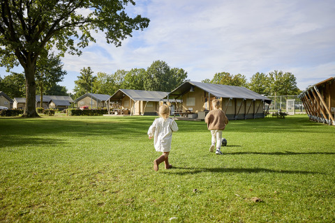 Twee kinderen spelen op het gras bij een Glamping Tent Comfort op De Leistert in Nederland in de zon.
