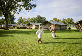 To børn leger på en grøn plæne foran Glamping Tent Comfort ved De Leistert, Nederlandene under solskin.