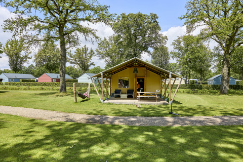 Glamping Tent Luxe Safari-Zelt auf einem grünen Campingplatz mit Bäumen und bunten Hütten im Hintergrund.