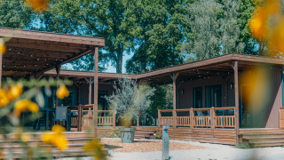 Vue extérieure de la Luxury Lodge avec terrasse en bois, entourée d’arbres verts et de fleurs jaunes.