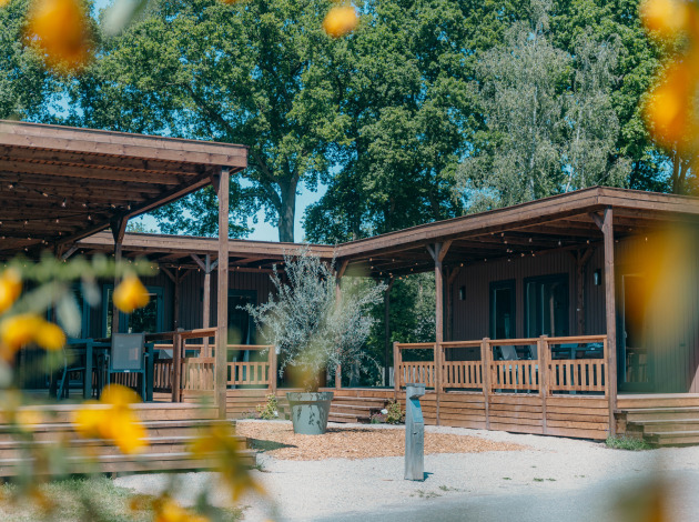Buitenaanzicht van Luxury Lodge met houten veranda, omgeven door groene bomen en gele bloemen.