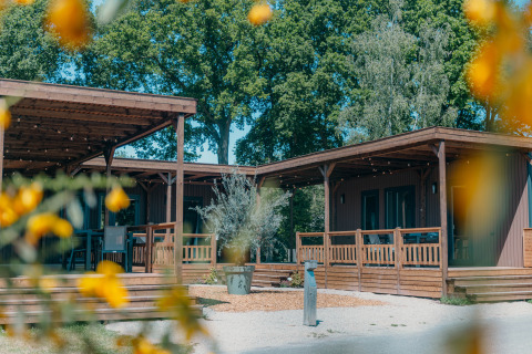 Außenaufnahme der Luxury Lodge mit Holzveranda, umgeben von grünen Bäumen und gelben Blumen.