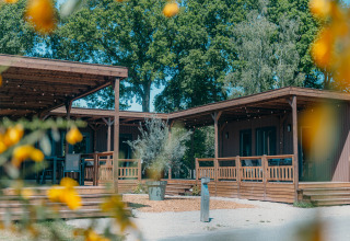 Außenaufnahme der Luxury Lodge mit Holzveranda, umgeben von grünen Bäumen und gelben Blumen.