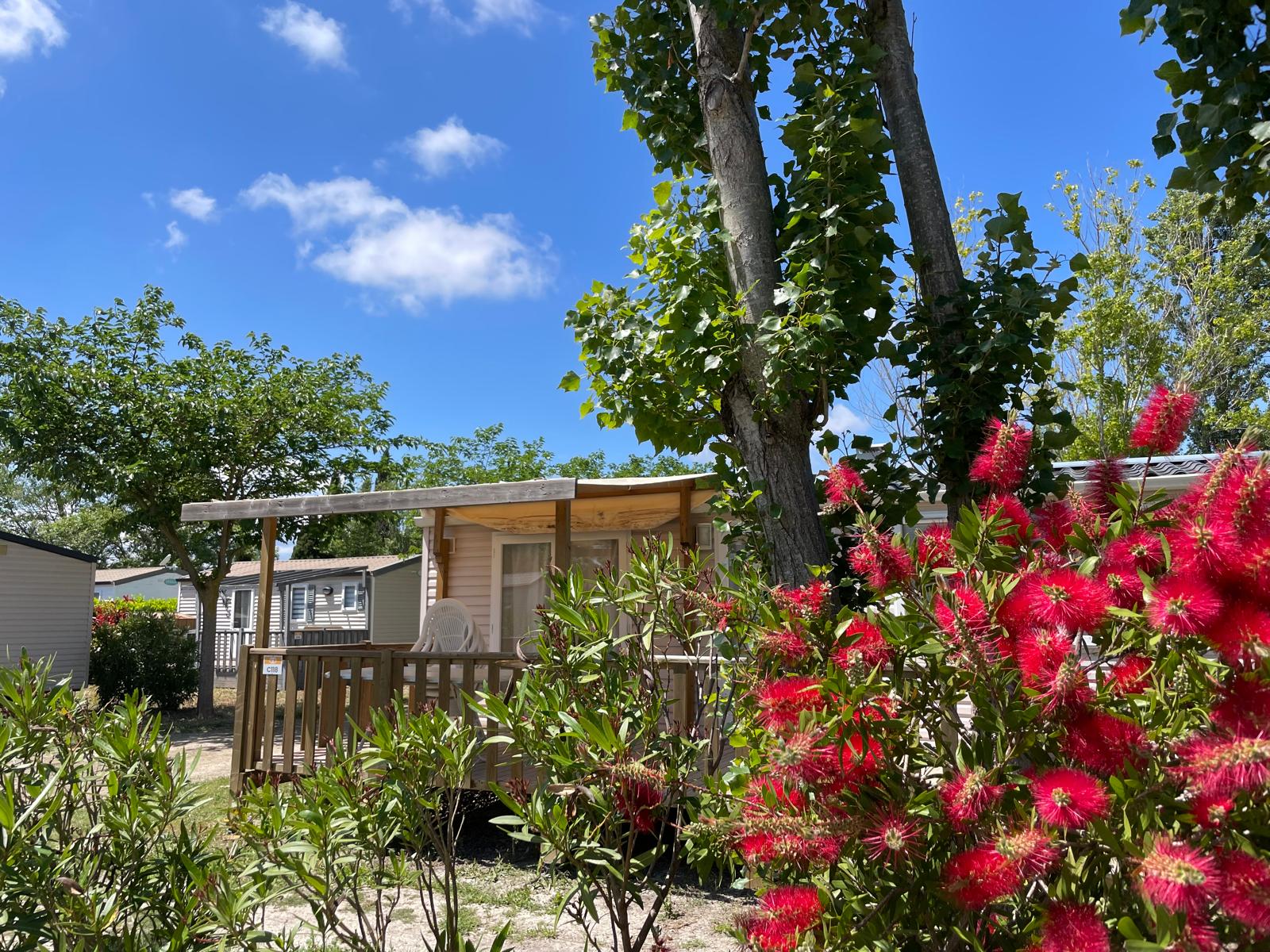 Zonnige dag bij Cottage op Camping Seasonova Ensoya in Frankrijk, omgeven door bomen en rode bloemen.