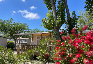 Día soleado en una cabaña llamada Cottage en Camping Seasonova Ensoya, Francia, rodeada de árboles y flores rojas.