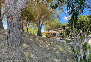 Zona de picnic sombreada con bancos de madera bajo una pérgola en el bosque de Camping Seasonova Ensoya, Francia.