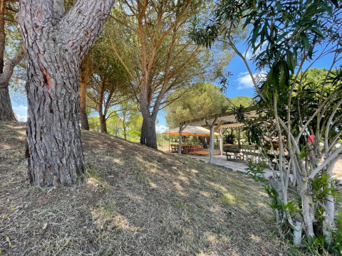 Aire de pique-nique ombragée avec bancs en bois sous une pergola à Camping Seasonova Ensoya, France.
