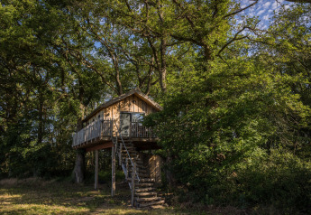 Casa sull’albero Boomhuis con scala in legno e balcone immersa tra gli alberi e cielo sereno.