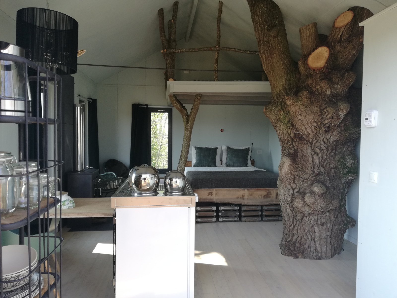 Boomhuis interieur bij Domaine Bonneblond in Frankrijk met boomstam zichtbaar in het midden van het huis.