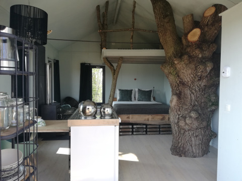 Innenansicht des Boomhuis-Baumhauses bei Domaine Bonneblond in Frankreich mit Baumstamm im Raum.
