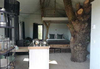 Innenansicht des Boomhuis-Baumhauses bei Domaine Bonneblond in Frankreich mit Baumstamm im Raum.