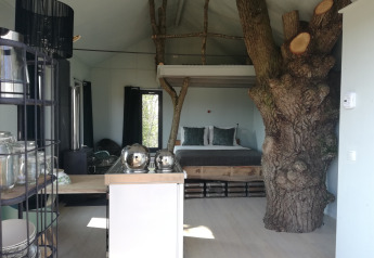 Vista interior de la singular casa arbórea Boomhuis en Domaine Bonneblond, Francia, con tronco visible.