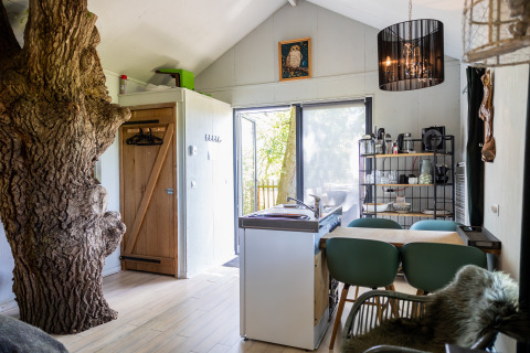Interior of the treehouse Boomhuis at Domaine Bonneblond in France, featuring a modern kitchen and tree inside.
