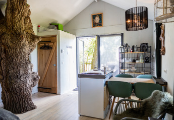 Interior of the treehouse Boomhuis at Domaine Bonneblond in France, featuring a modern kitchen and tree inside.