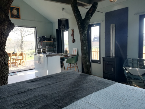 Innenansicht des Boomhuis-Baumhauses mit sichtbaren Baumstämmen und moderner Einrichtung bei Domaine Bonneblond, Frankreich.