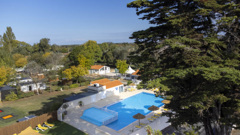 Vue sur la piscine extérieure et les chalets du Flower Camping La Davière Plage, entourés d’arbres verdoyants.