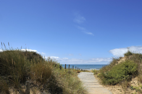 Camino de madera entre dunas hacia el mar en Flower Camping La Davière Plage, Pays de la Loire, Francia, bajo cielo azul.