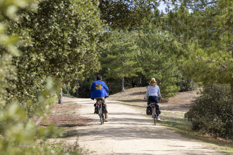 Deux personnes font du vélo sur un chemin forestier près de Saint Jean de Monts, entourés de végétation.