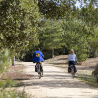 Dos personas pasean en bicicleta por un sendero arbolado cerca de Saint Jean de Monts, rodeados de naturaleza.