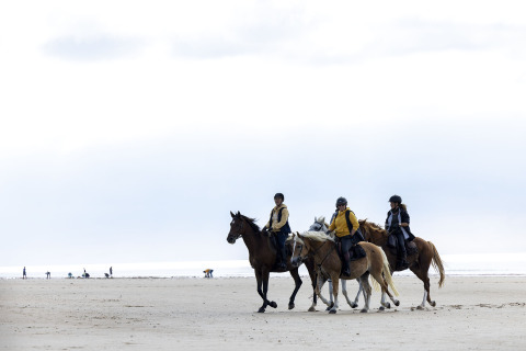 Tre personer rider på heste langs stranden ved Flower Camping La Davière Plage i Pays de la Loire, Frankrig.