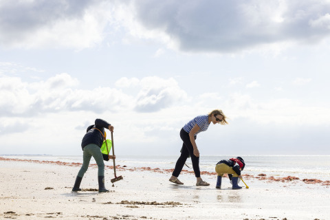 Famille cherchant des coquillages sur la plage à Flower Camping La Davière Plage, Pays de la Loire, France.